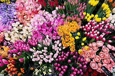 像素沙盒《方块方舟》海外蒸汽平台史低折扣，春节版本暴打机械虎