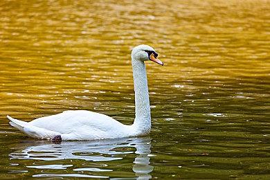 Epic喜加一 免费领《瑞利达》下周领《机甲战魔》